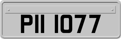 PII1077
