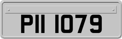 PII1079