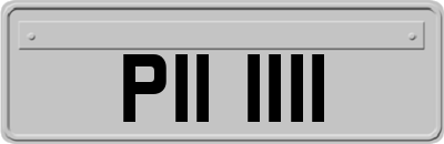 PII1111