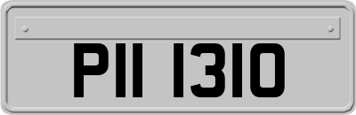 PII1310