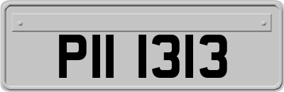 PII1313