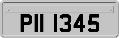 PII1345