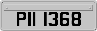 PII1368