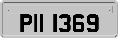 PII1369