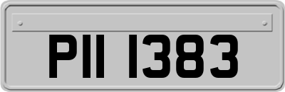 PII1383