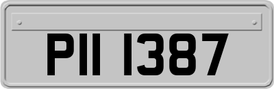 PII1387