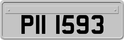 PII1593