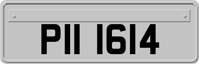 PII1614
