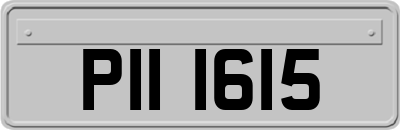 PII1615