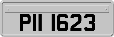 PII1623