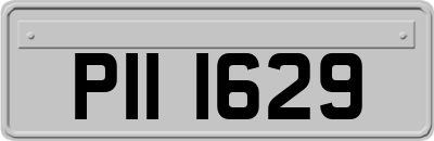 PII1629