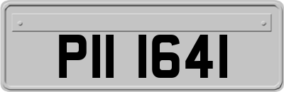 PII1641