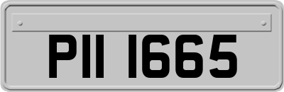 PII1665