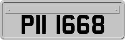 PII1668