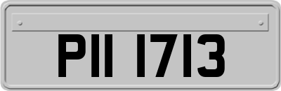 PII1713