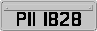 PII1828