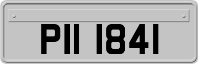 PII1841