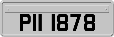 PII1878