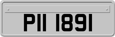 PII1891