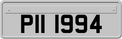 PII1994