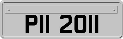 PII2011