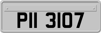 PII3107