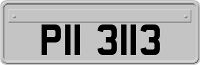 PII3113