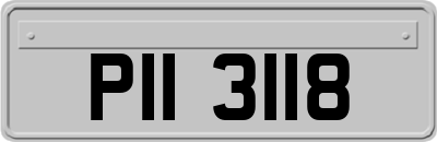 PII3118