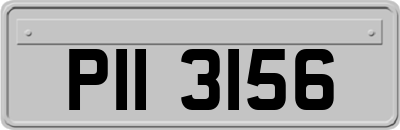 PII3156