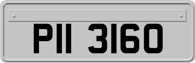 PII3160