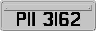 PII3162