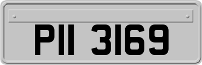 PII3169