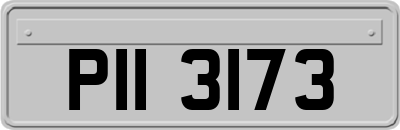 PII3173