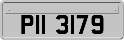 PII3179