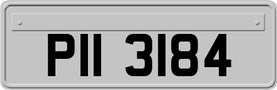 PII3184