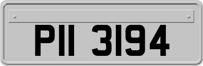 PII3194