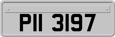 PII3197