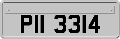 PII3314