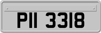 PII3318