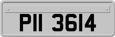 PII3614