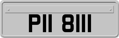 PII8111