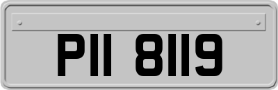 PII8119