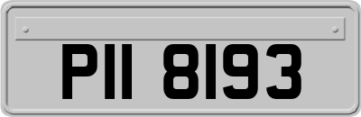 PII8193