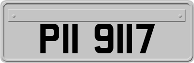 PII9117