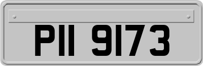 PII9173