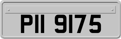 PII9175