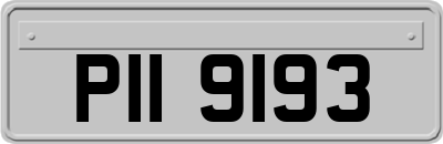 PII9193