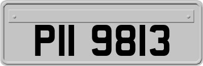 PII9813