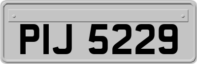 PIJ5229