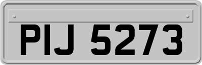 PIJ5273